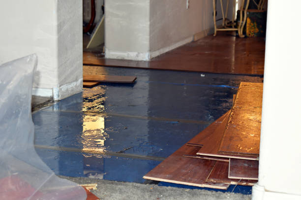 Professional Water Extraction technician working in Cayucos, CA